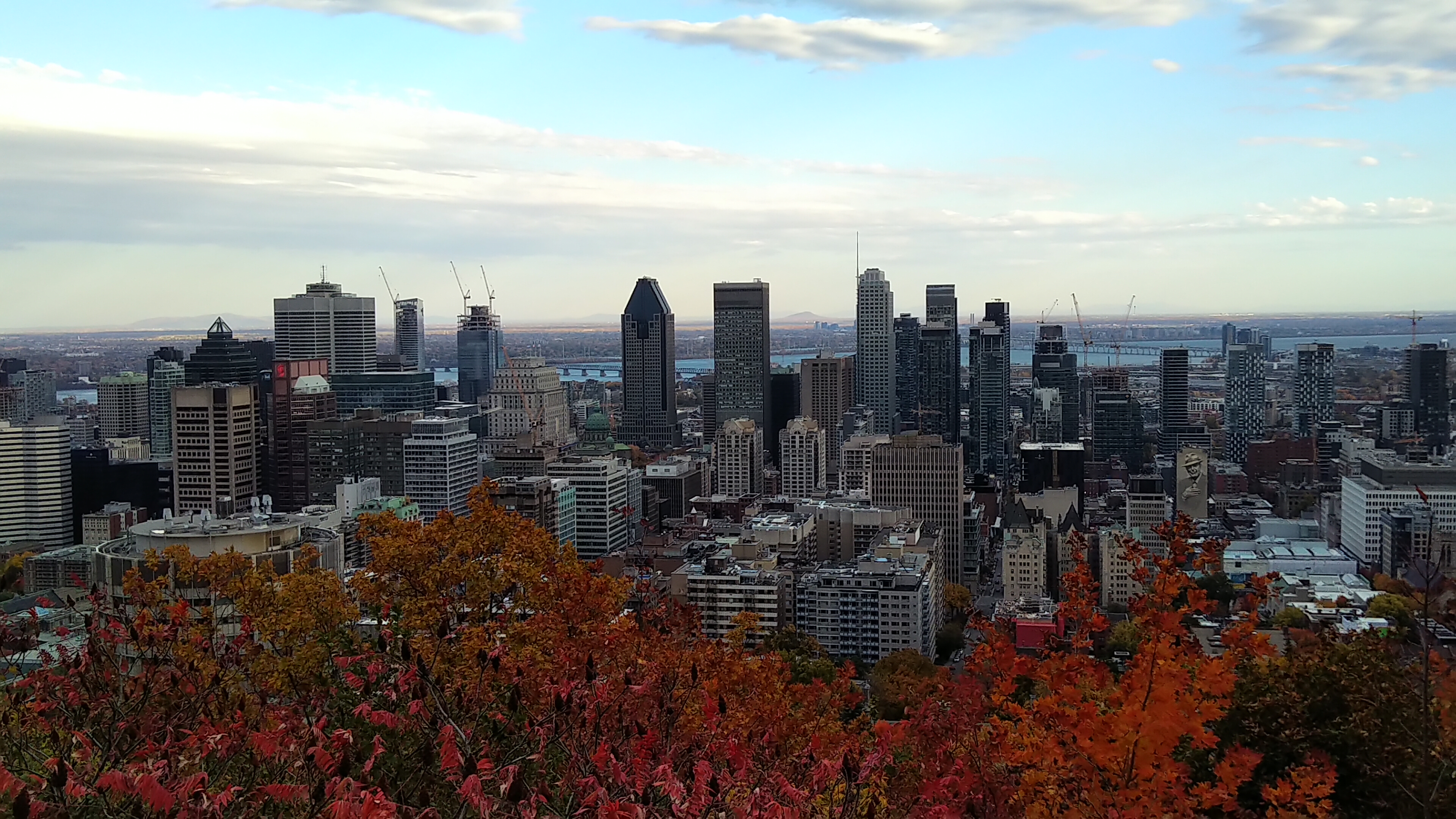 Montreal Skyline