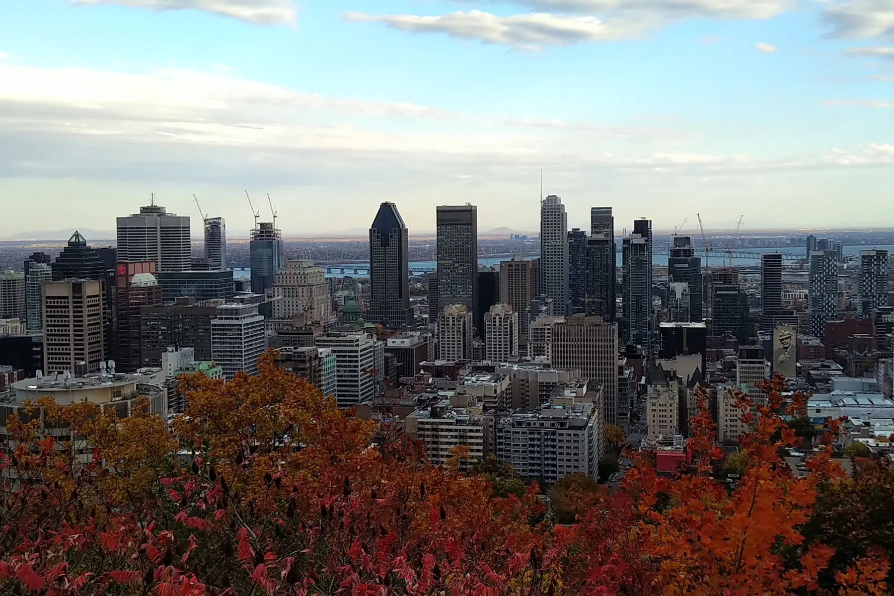 Montreal Skyline